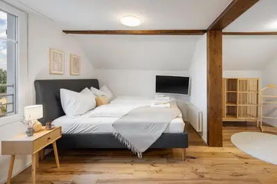 a bedroom with a large bed and a tv at Klara 1033 - Olma, Spital, Uni St- Gallen in St. Gallen