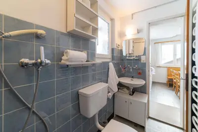 a bathroom with a shower and a toilet and a sink at Eldanora in Wildhaus