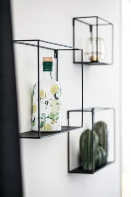 a shelf with two bottles of alcohol and a cactus at Schöne Wohnung im Herzen von Herisau bis 6 Gäste in Herisau