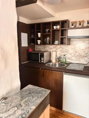 a kitchen with a sink and a microwave at Im Herzen von Rebstein in Rebstein