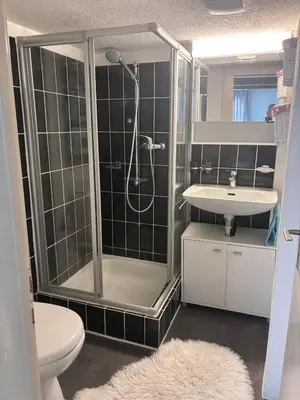 a bathroom with a shower and a sink at Im Herzen von Rebstein in Rebstein