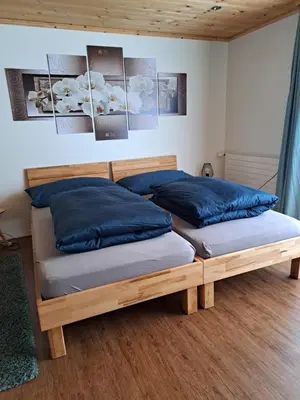 two beds in a room with blue pillows at Strickerhof in Hundwil