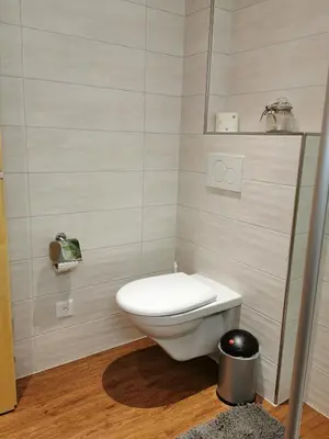 a bathroom with a white toilet in a room at Strickerhof in Hundwil