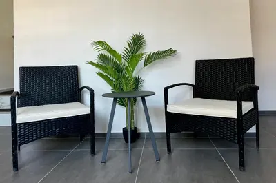 two chairs and a table with a plant in between them at Appartement Hörnli Seeliebe in Kreuzlingen