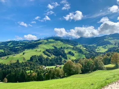 a view of a green hillside with trees at Gemütliches Chalet-Zimmer in Guesthouse Rosalie in Brunnadern