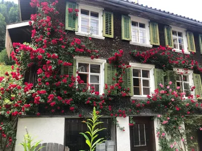 a house with flowers on the side of it at Gemütliches Chalet-Zimmer in Guesthouse Rosalie in Brunnadern