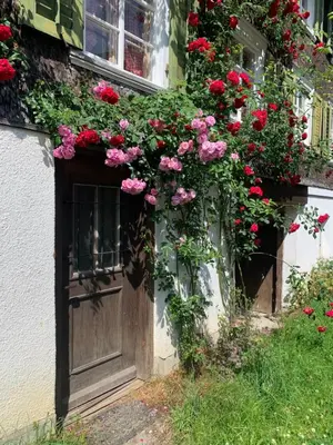 a door with flowers on the side of a building at Historic Swiss Room in Guesthouse Rosalie in Brunnadern