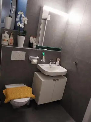 a bathroom with a sink and a toilet and a mirror at schickes gemütliches Studio in Bühler