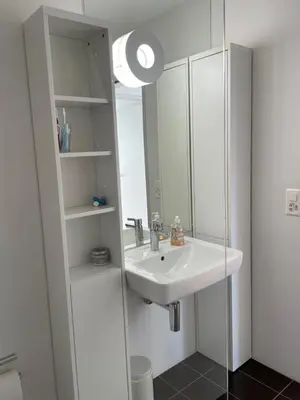 a bathroom with a sink and a mirror at Appenzellerland, 2 Zimmer Ferienwohnung mit Aussicht in Haslen
