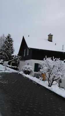 a snow covered house with a tree in front of it at Wenk Elisabeth in Wildhaus