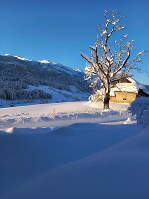 a tree in the snow next to a building at Wenk Elisabeth in Wildhaus