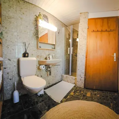 a bathroom with a toilet and a sink at Zum Wöschhüsli mit Sauna in Rheineck