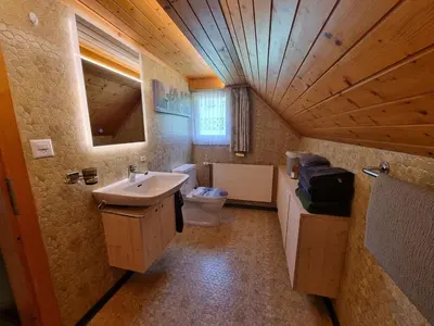 a bathroom with a sink and a toilet in a room at Ferienwohnung Toggilodge in Unterwasser