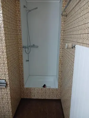a shower with a large mirror in a bathroom at 2,5 Zimmer Ferienwohnung in Bühler, Nähe Appenzell in Bühler
