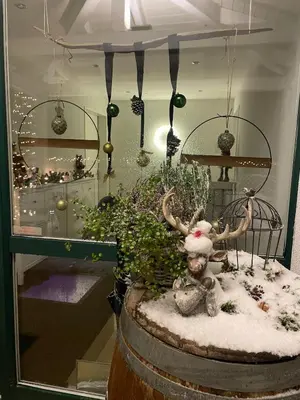 a display in a window with antlers on a barrel at Traumwohnung in 3 Minuten zum Bodensee in Dozwil