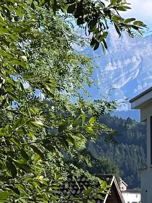 a view of a mountain through the leaves of a tree at Charmantes Studio in Teufen in Teufen