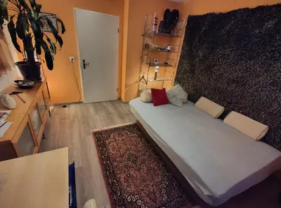 a living room with a couch and a rug at Zimmer oberhalb einer Schokoladenfabrik in Kreuzlingen