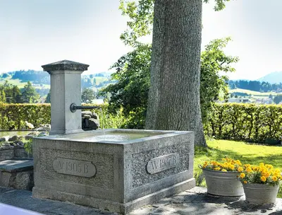 a stone fountain in front of a tree with flowers at Hotel B&BAlpenheim in Teufen
