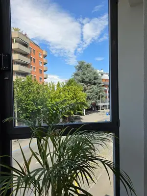 a potted plant sitting outside of a window at Hotel Salvi in Kreuzlingen