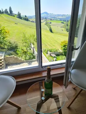 a bottle of wine on a glass table in front of a window at Maisonette-Wohnung inmitten der Natur in Wald
