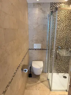a bathroom with a toilet and a glass shower at Studio mit Balkon im Zentrum in St. Gallen