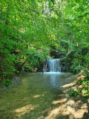 a waterfall in the middle of a river with trees at Eigenen Unterkunft I Vierländereck I Natur I St Gallen in Rebstein
