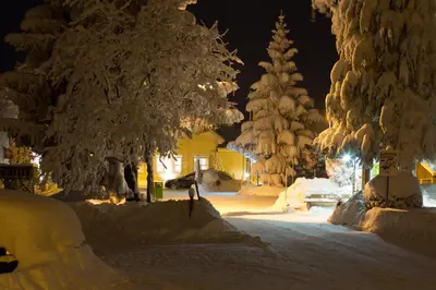 a snowy street at night with snow covered trees at Hotel und Restaurant Wolfensberg in Degersheim