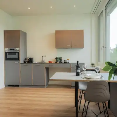 Stilvoll&zentral in St Gallen -WYBA Living P