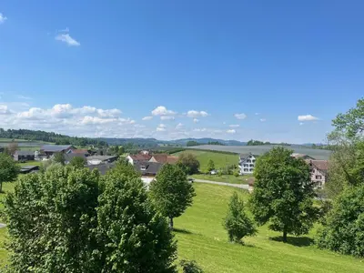 a person walking a dog on a forest path at Suite4you Erlen l Privater Pool ganzjährig beheizt & Sauna l 10min zum Bodensee, Parkplatz & WLAN in Erlen