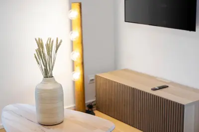 a vase sitting on a table next to a tv at Modernes Apartment mit Balkon und Parkplatz, Nähe See in St. Gallen