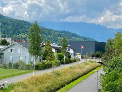 a house on a road with a mountain in the background at SwissRest - Self Check-In in Sevelen