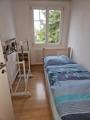 a bedroom with a bed and a ladder next to a window at Holzchalet mit Garten und Terrasse in Egnach