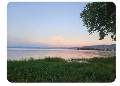 a body of water with a tree in the foreground at Holzchalet mit Garten und Terrasse in Egnach