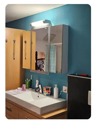 a bathroom with a white sink and a blue wall at Holzchalet mit Garten und Terrasse in Egnach