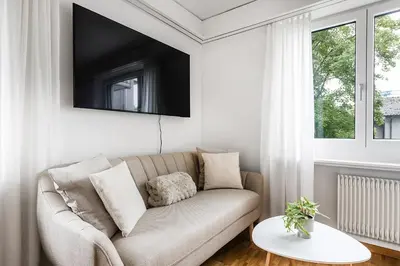 a living room with a couch and a tv at SOHO3A !Gratis Parken, Free Parking! in Kreuzlingen
