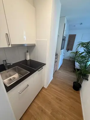 a kitchen with white cabinets and a sink and a plant at St Gallen City - 5 min vom Bahnhof - Roter Platz in St. Gallen