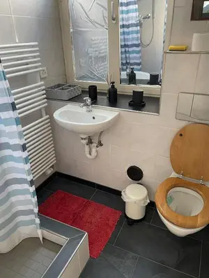 a bathroom with a sink and a toilet at 1-room studio apartment in St. Gallen