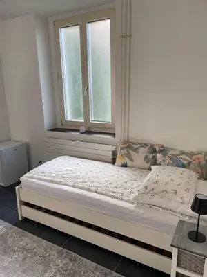 a bedroom with a bed and a window at 1-room studio apartment in St. Gallen