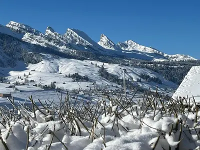 a snow covered mountain range with mountains in the background at Beatli Chalet in Wildhaus