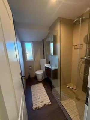 a bathroom with a shower and a toilet and a sink at Elegante Maisonette mit See-Panorama in Rorschach in Rorschach