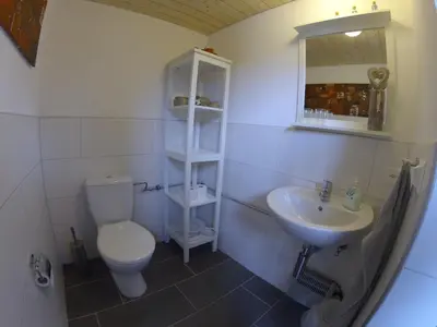 a bathroom with a toilet and a sink at B&B Hofgenuss in Ganterschwil