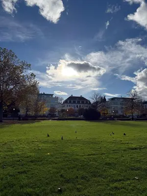 a group of birds sitting in a field of grass at HRE Apartments Lago Rorschach in Rorschach