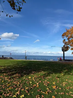 a park with the ocean in the background at HRE Apartments Lago Rorschach in Rorschach