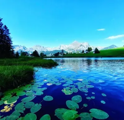 a river with lily pads and mountains in the background at Ferienwohnung mit Sauna in Wildhaus in Wildhaus