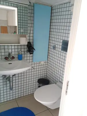 a bathroom with a toilet and a sink at Central tiny studio in St. Gallen
