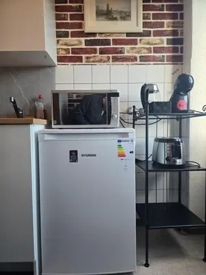a microwave sitting on top of a refrigerator in a kitchen at Central studio apartment stgallen gratis Parkplatz in St. Gallen