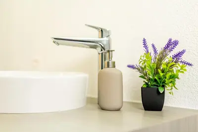 a bathroom sink with a bottle of soap and a plant at Jasminkas Host 3 - Stadtwohnung mit Küche & gratis Parkplatz in St. Gallen