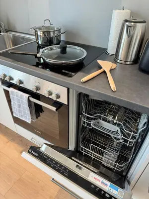 a kitchen with a stove with a dish rack at Alte Näherei in Degersheim