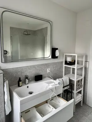 a bathroom with a white sink and a mirror at Alte Näherei in Degersheim