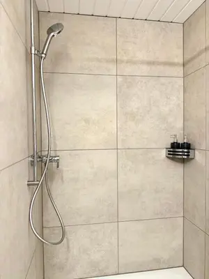 a shower with a shower head in a bathroom at Luxus Studio Apartment am Bodensee in Güttingen